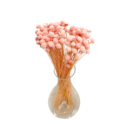 Getrocknete Blumen Tortendekoration Lametta LAGURUS gebleicht 40 Zweige