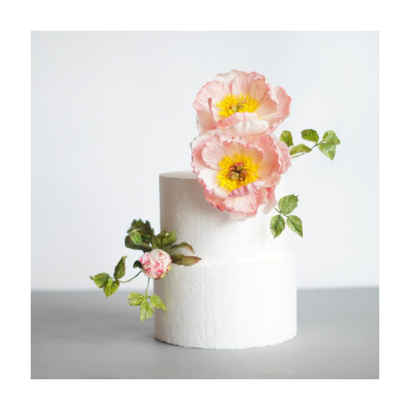 Cake dummy, height 10 cm DIAMOND 20 cm Styrofoam dummies Styrodek
