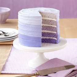 4er-Set Wilton Backformen Schichtkuchen 20 cm