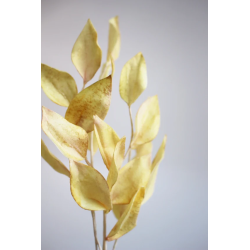 Papier waflowy Saracino 0,3 mm - 10 arkuszy A4 Wafer Paper