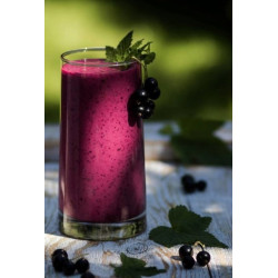 Puree owocowe Menii Pulpa Czarna Porzeczka 1kg