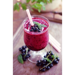 Puree owocowe Menii Pulpa Czarna Porzeczka 1kg