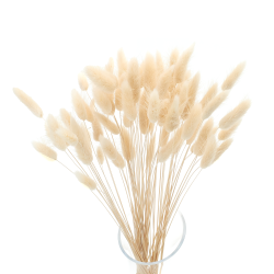 Getrocknete Blumen Tortendekoration Lametta LAGURUS gebleicht 40...