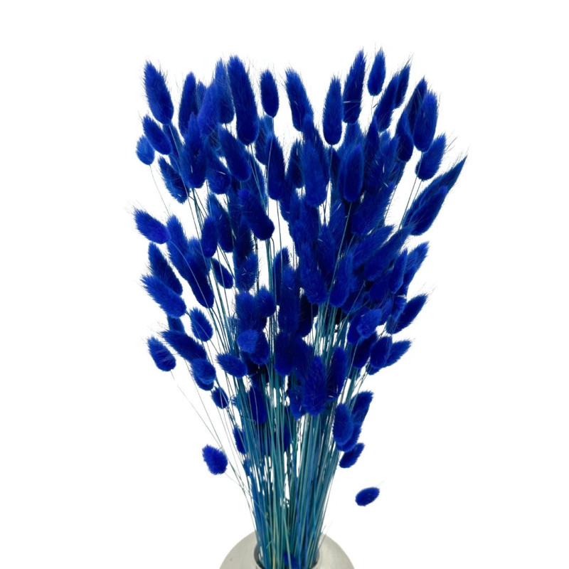 Getrocknete Blumen Tortendekoration LAGURUS getrocknete Blumen marineblau 40 Zweige