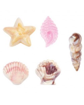 Wilton forma na čokoládu – Seashells