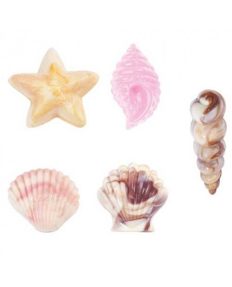 Wilton csokoládéforma – Seashells