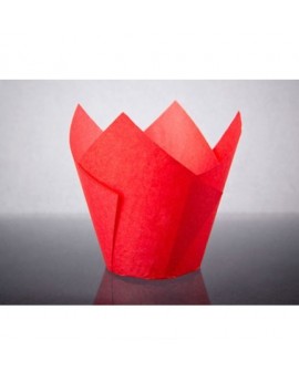 Papilotki tulipany czerwone 180 szt.