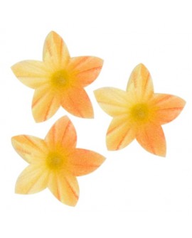 KWIATKI MINI Decor herbaciany з градієнтом прибл. 2 cm 50 шт.