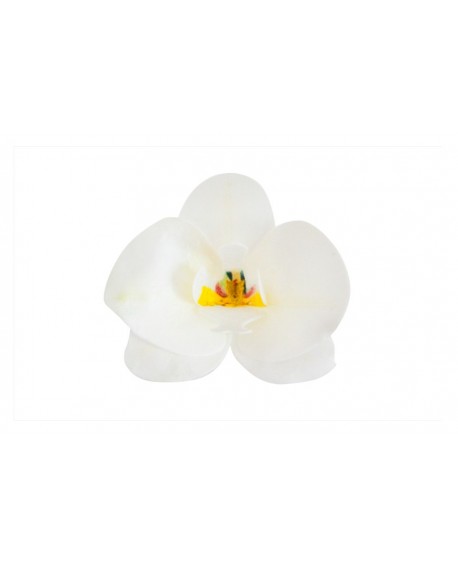 dekoratív ostyavirágok Decor orchidea fehér kb. 8,5 x 7,5 cm 10 db