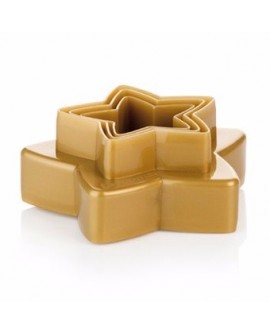 Double-sided cutters 3 pcs stars