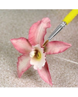 Pędzelki do dekorowania PME 5 szt. Pędzle pędzelek