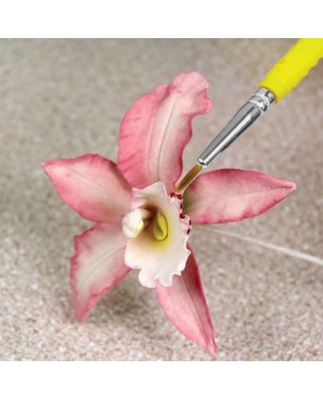 Pędzelki do dekorowania PME 5 szt. Pędzle pędzelek