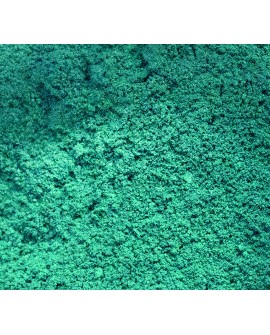 Barwnik pyłkowy matowy FC Turquoise Shore