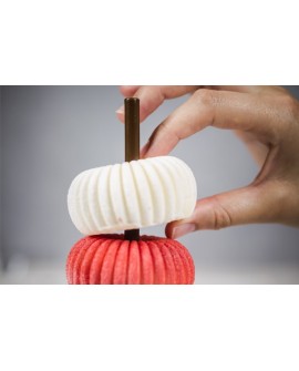 3D силіконова форма Silikomart Mini Raggio 1 gniazda: 6,7 cm 1 gniazda: 85 ml