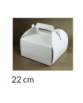 KARTON Verpackung 22x22x12 cm Weißer Karton