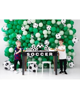 Fußballteller 6 Stk. 18 cm Fußballteller 6 Stk. 18 cm