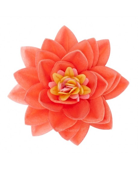 FLOWER WITH LOTOS WAVELE MIX 15 pcs.