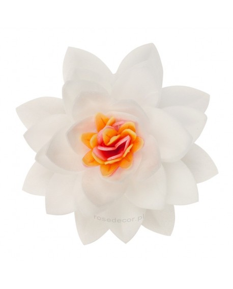 LOTUS WHITE FLOWER 15 Stk.