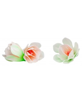 FLOWER FROM THE FLOWER Magnolia BRIGHT 6 pcs.