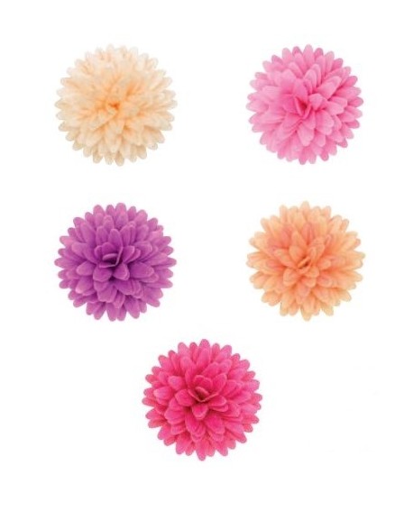 Waffelblumen-Pompom-Gänseblümchen-Mix, lila-rosa, 12 Stück.