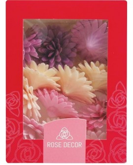FLOWER FROM DOLLY Gänseblümchen Bommel MIX lila-rosa 12 Stück.