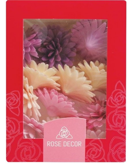 Ostyavirág Pompom Margaréta MIX lila-rózsaszín 12 db.