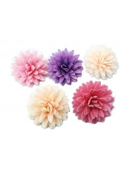 Waffelblumen-Pompom-Gänseblümchen-Mix, lila-rosa, 12 Stück.