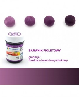 Barwnik w żelu Food Colours FIOLETOWY