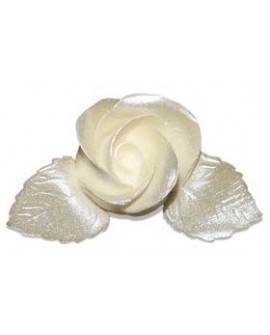 Food Colours Sprühfarbe pearlescent New Pearl 50 ml