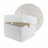 Primers and packaging